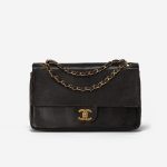 Chanel_Timeless_Medium_Lizard_Brown