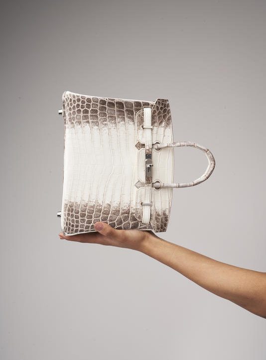 Hermès Birkin 25 Niloticus Crocodile Himalaya