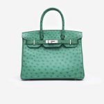 Hermès Birkin 30 Ostrich Vert Vertigo Saclàb