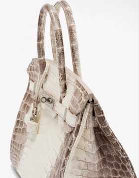 Hermès Birkin 30 Niloticus Himalaya Blanc