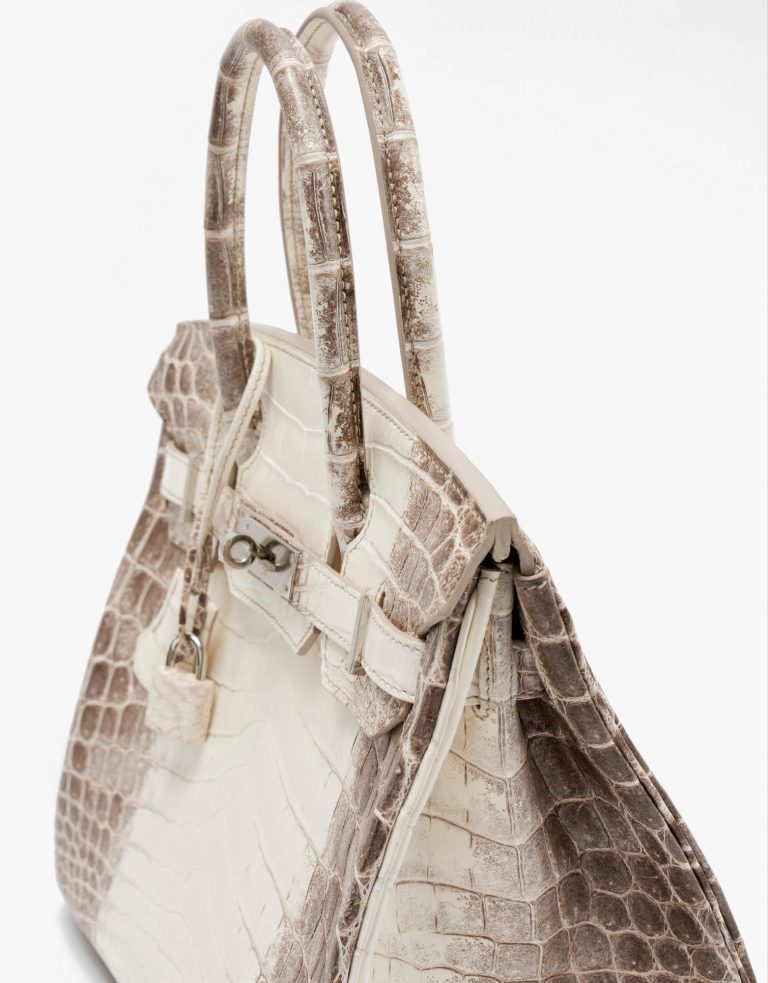 Hermès Birkin 30 Niloticus Himalaya Blanc