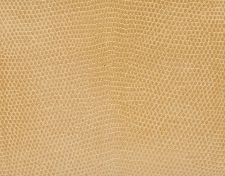 Hermès Kelly 20 Niloticus Lizard Parchemin