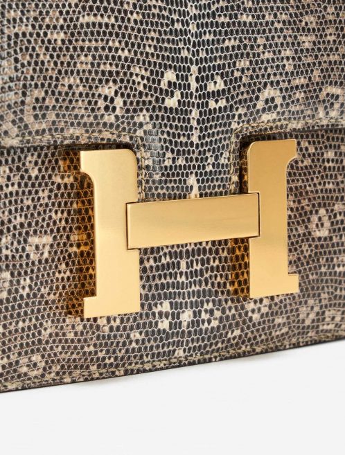 Hermès Constance Mini Lizard Ombre SACLÀB