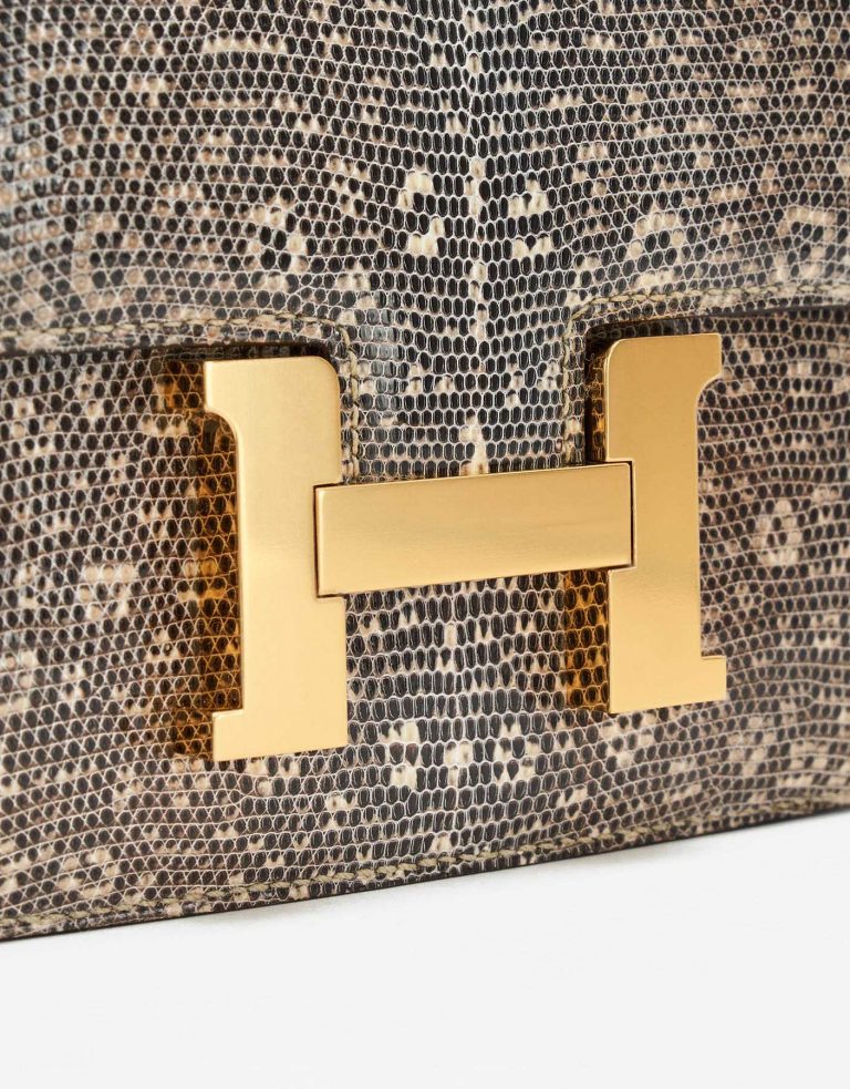Hermès Constance Mini Lizard Ombre SACLÀB