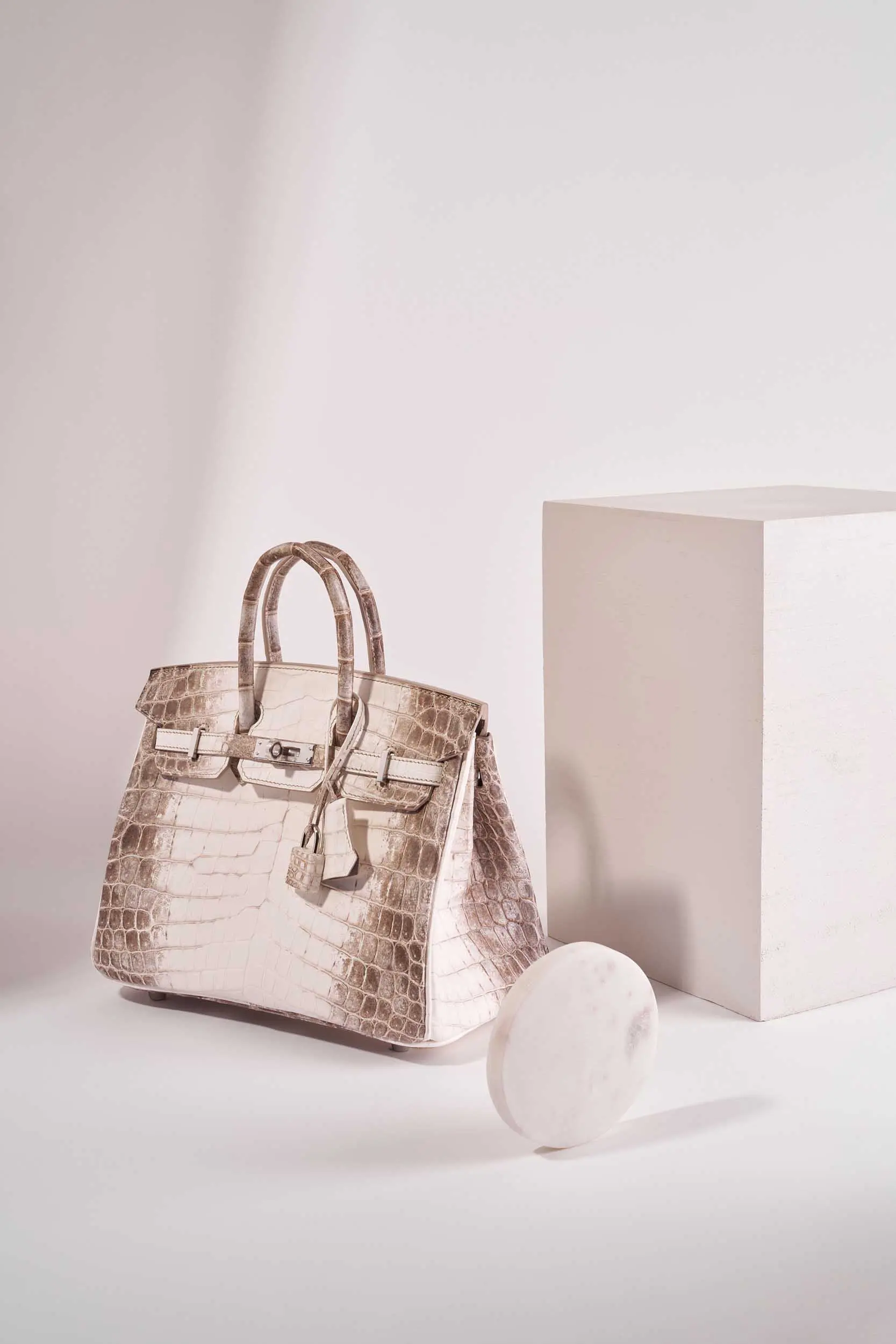 Hermès Birkin 25 Himalaya Handbag