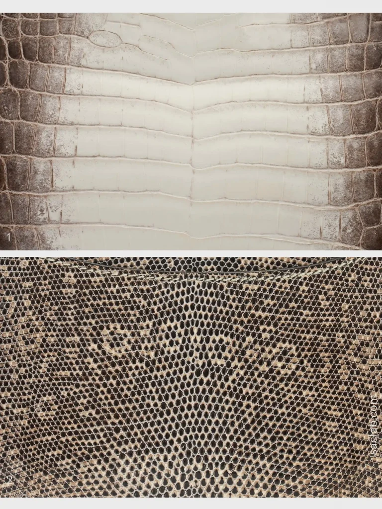 Hermès Bag Himalaya Crocodile vs. Lizard Ombre