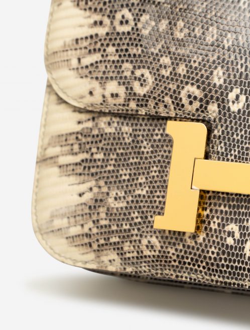 Hermès Constance 18 Lizard Ombre