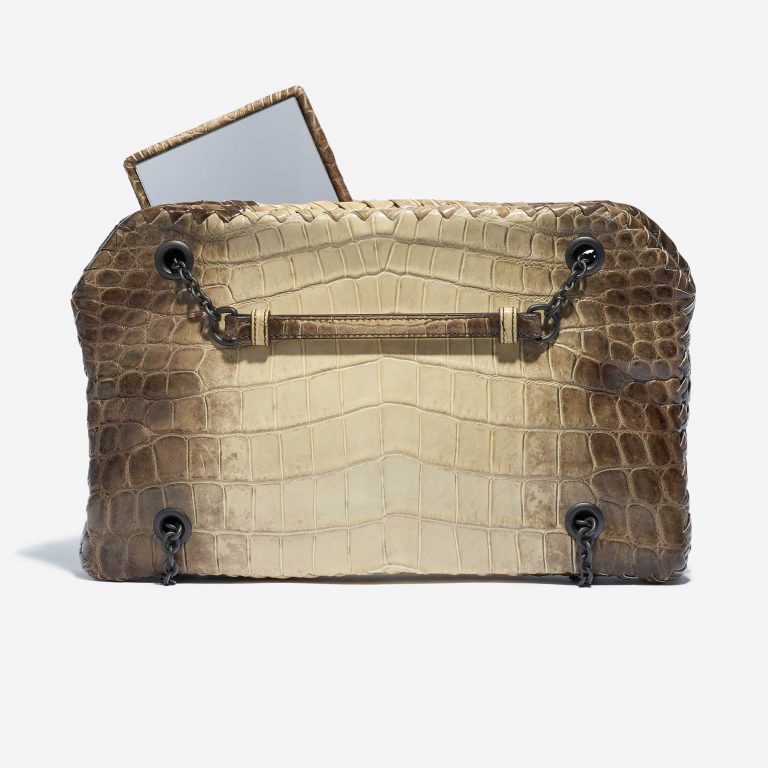 Bottega Veneta Double Chain Shoulder Crocodile Himalaya