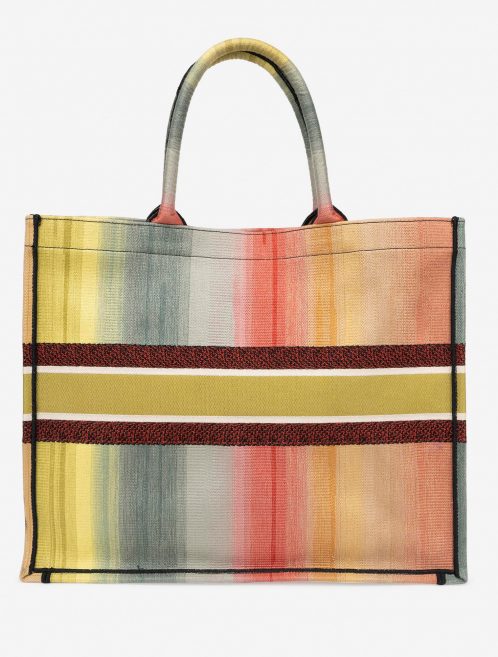 Pre-owned Dior bag Book Tote Large Canvas Multicolour Multicolour | Sell your designer bag on Saclab.com