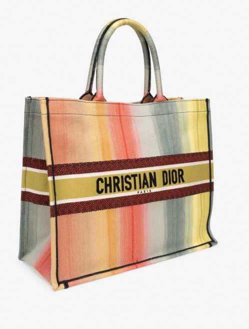 Pre-owned Dior bag Book Tote Large Canvas Multicolour Multicolour | Sell your designer bag on Saclab.com