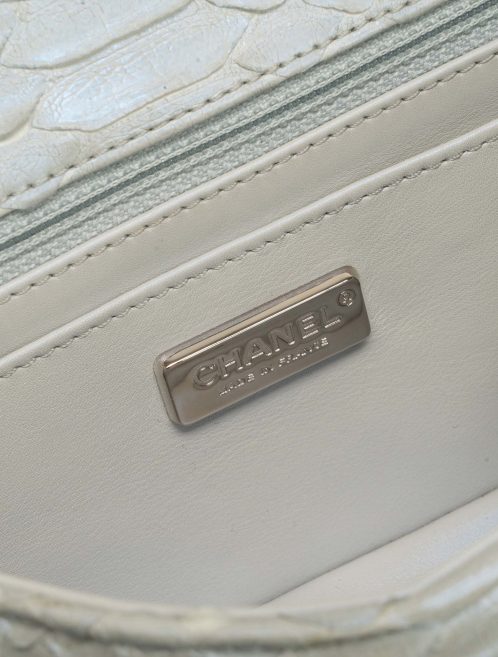 Chanel Timeless Small Python Silver