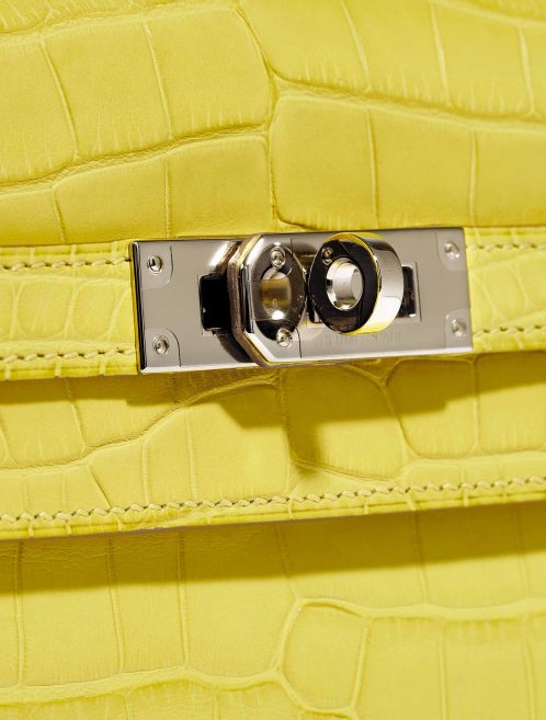 Hermès Kelly Long Wallet Alligator Matte Mimosa