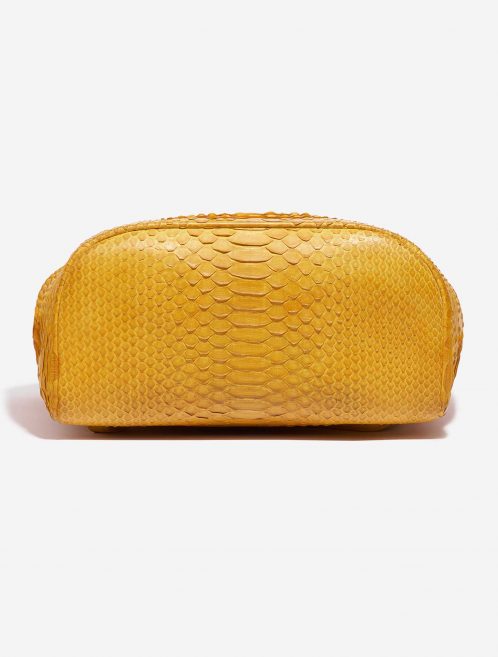 Chanel Backpack Python Yellow