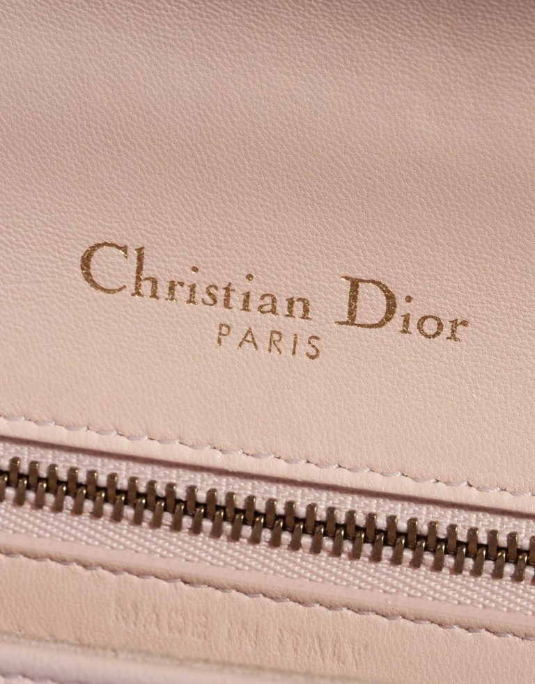 Dior Diorama Medium Calf Light Pink