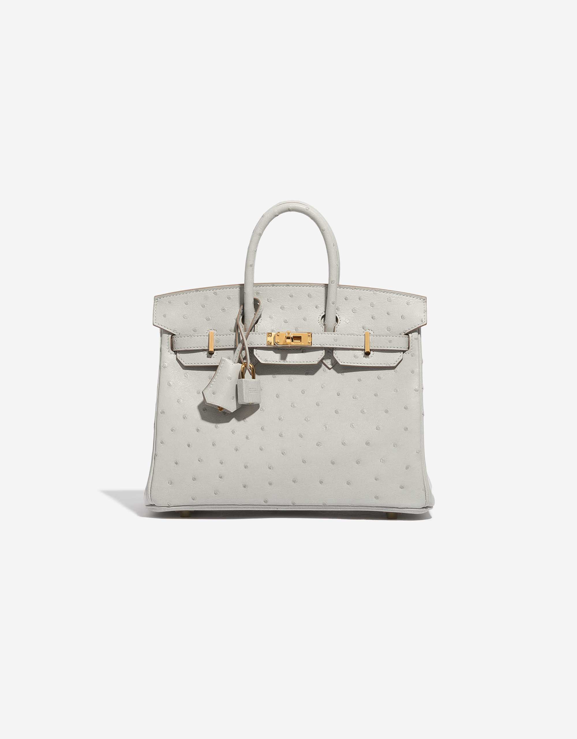 Hermès Birkin 25 Ostrich Gris Perle SACLÀB