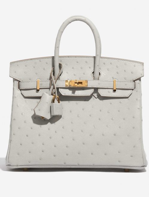 Hermès Birkin 25 Ostrich Gris Perle