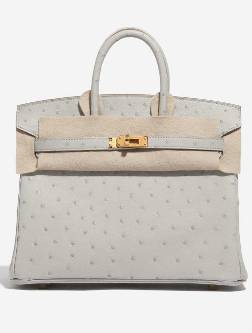 Hermès Birkin 25 Ostrich Gris Perle