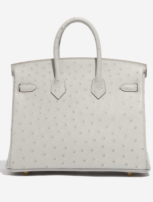 Hermès Birkin 25 Ostrich Gris Perle