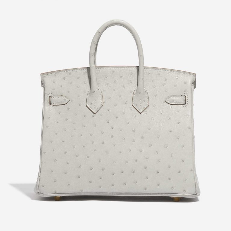 Hermès Birkin 25 Ostrich Gris Perle