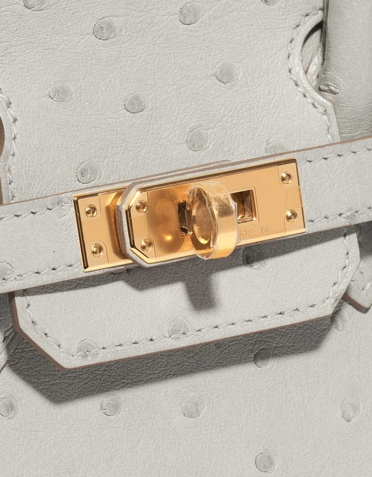 Hermès Birkin 25 Ostrich Gris Perle
