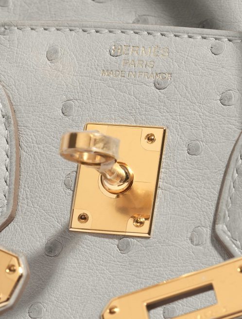 Hermès Birkin 25 Ostrich Gris Perle