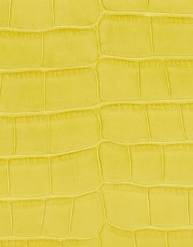 Hermès Alligator Mimosa SACLÀB