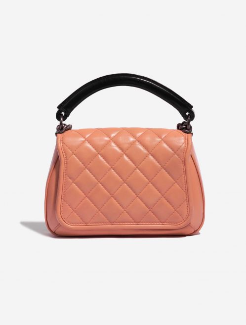 Pre-owned Chanel bag Timeless Handle Medium Lamb Beige Beige, Rose Back | Sell your designer bag on Saclab.com