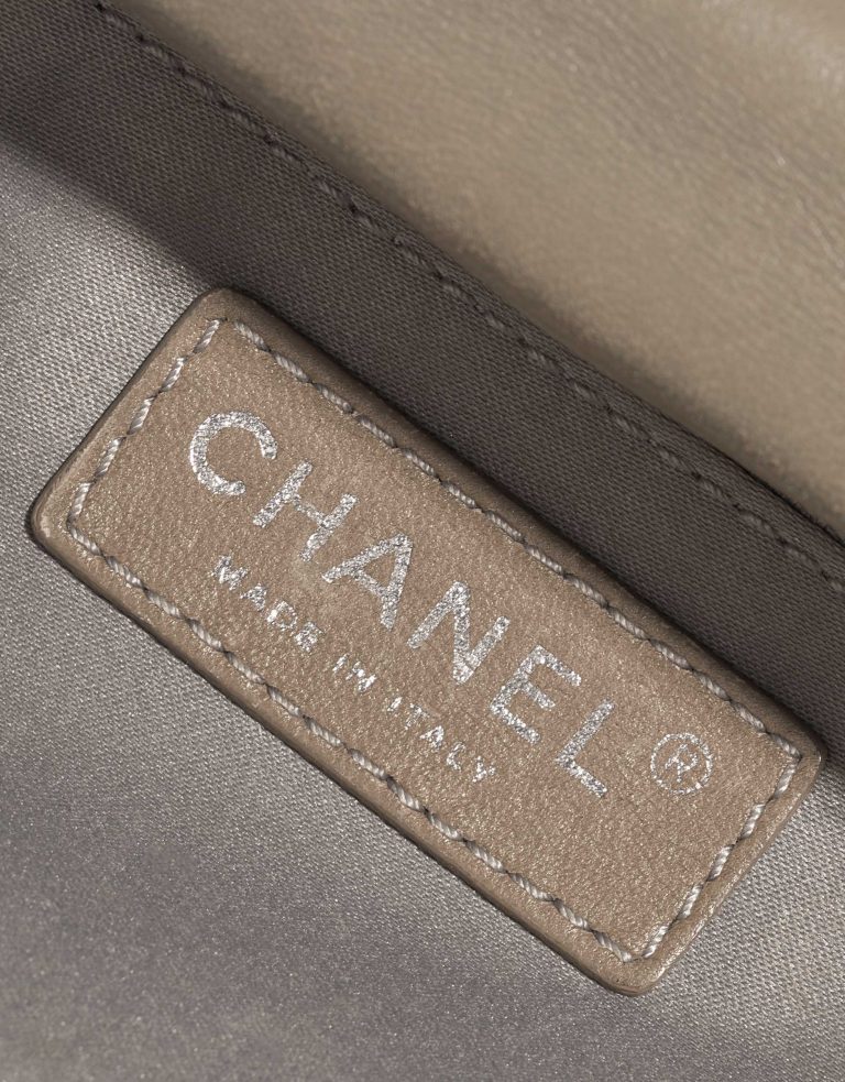 Pre-owned Chanel bag Timeless Medium Python Grey Grey Logo | Sell your designer bag on Saclab.com
