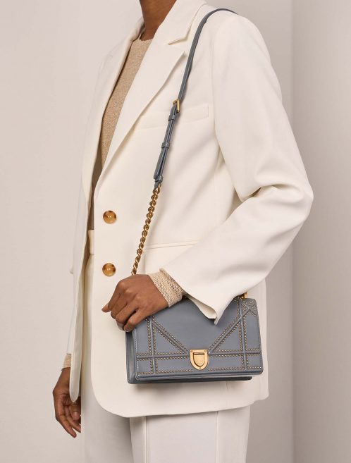 Pre-owned Dior bag Diorama Medium Calf Gray Model | Sell your designer bag on Saclab.com