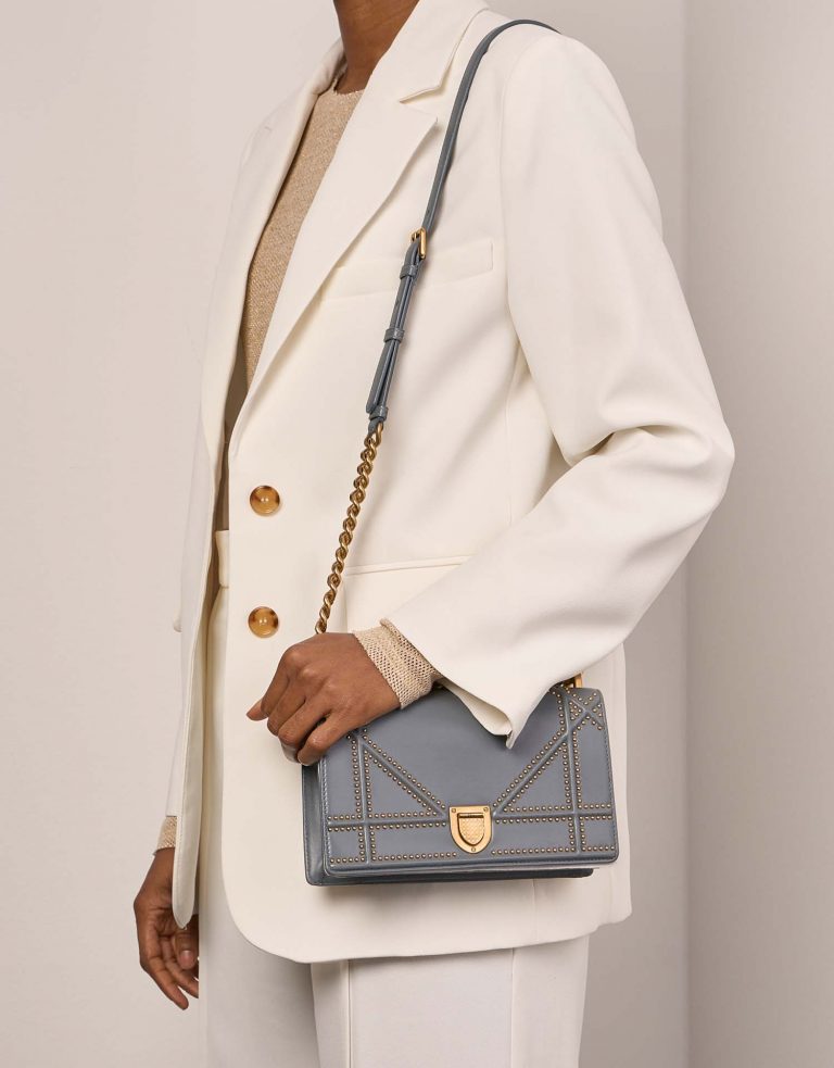 Pre-owned Dior bag Diorama Medium Calf Gray Model | Sell your designer bag on Saclab.com