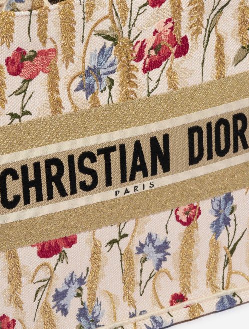 Pre-owned Dior bag Book Tote Small Canvas Multicolour Beige, Multicolour Detail | Sell your designer bag on Saclab.com