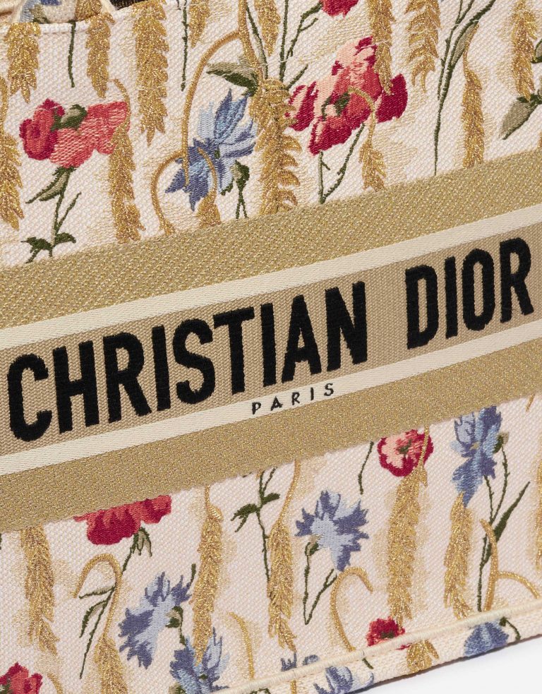 Pre-owned Dior bag Book Tote Small Canvas Multicolour Beige Front | Sell your designer bag on Saclab.com
