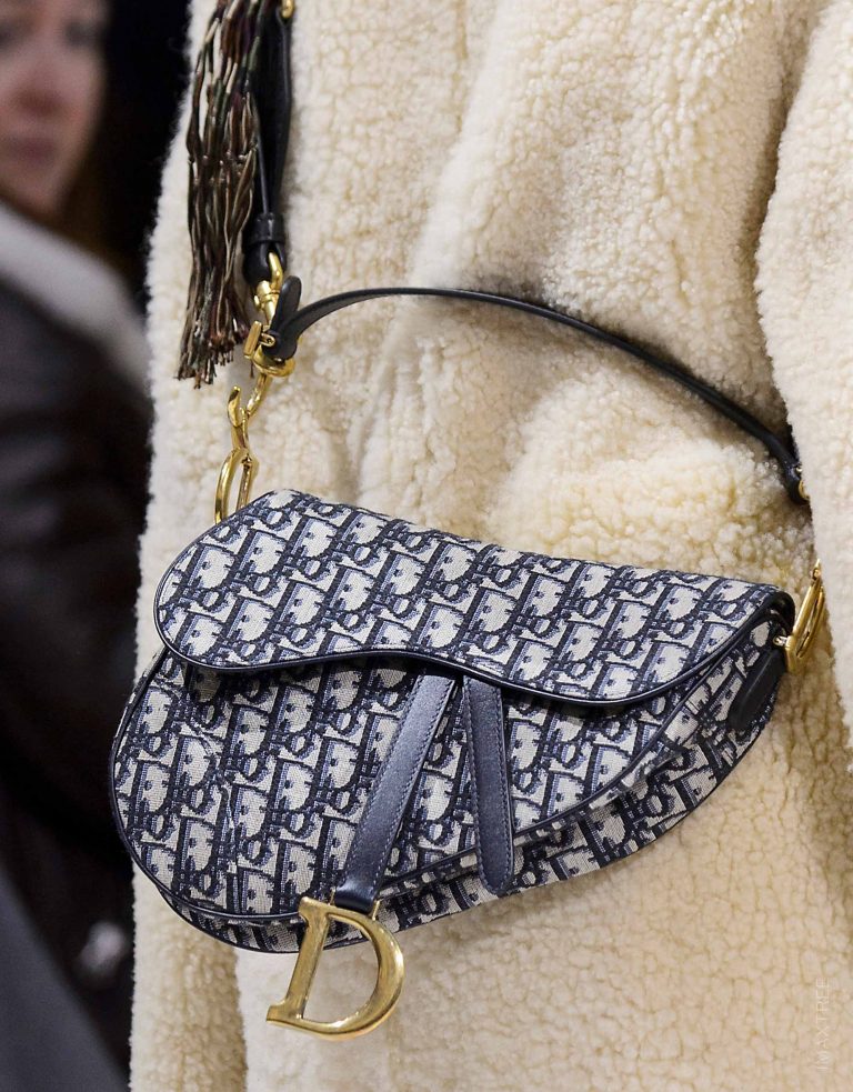 Dior Oblique Saddle Bag Fall Winter 2018