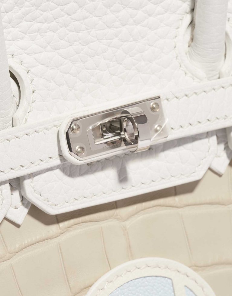 Pre-owned Hermès bag Birkin 20 Faubourg Matte Alligator / Togo / Epsom / Swift White / Beton / Orange H / Blue Brume / Craie Beige Front | Sell your designer bag on Saclab.com