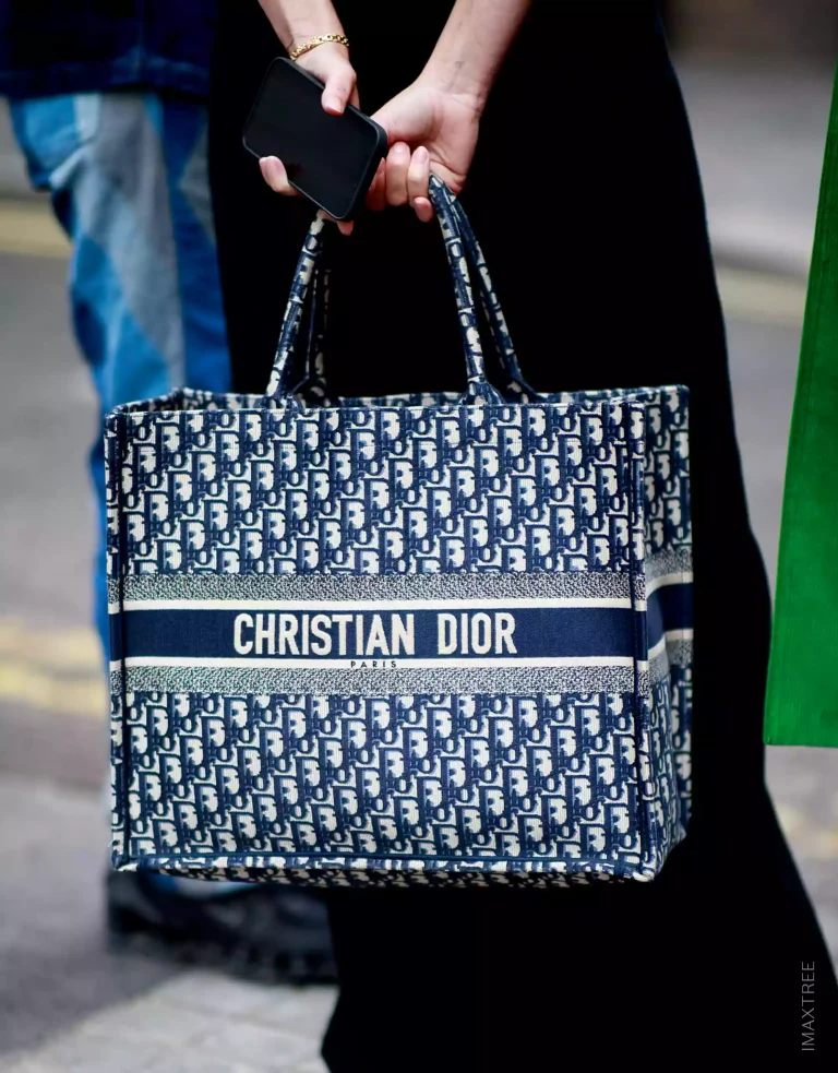 Dior's Oblique Book Tote