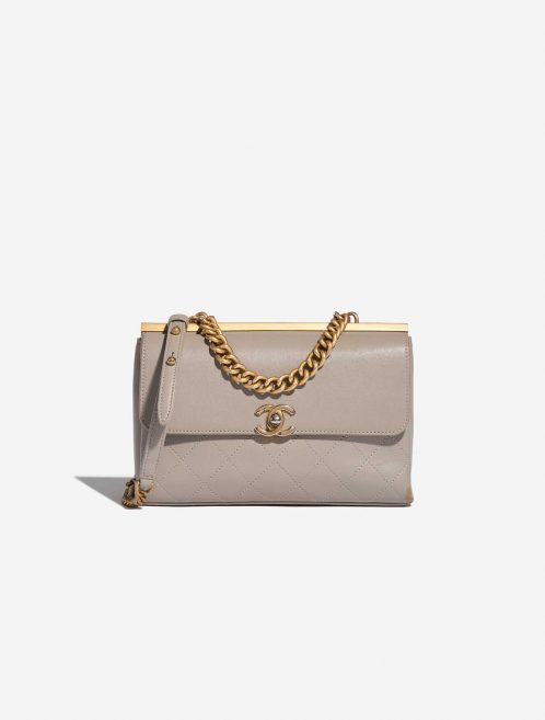 Pre-owned Chanel bag Timeless Chain Handle Lamb Grey Grey Front | Sell your designer bag on Saclab.com