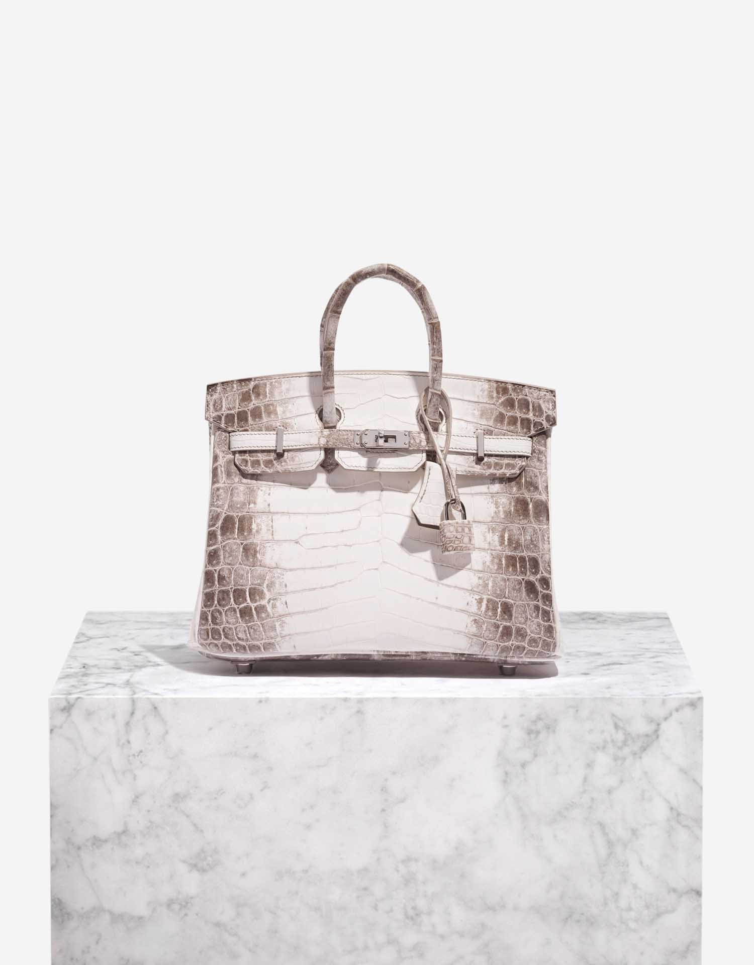 Himalayan Birkin What Is The Most Expensive Birkin Bag In The