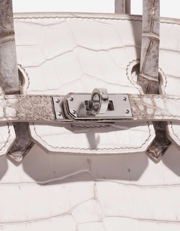 Pre-owned Hermès bag Birkin 25 Niloticus Crocodile Himalaya Blanc Brown Front | Sell your designer bag on Saclab.com