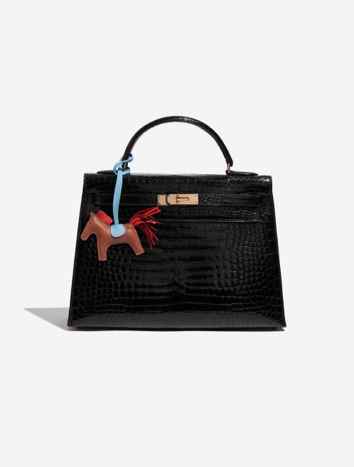 Pre-owned Hermès bag Rodeo PM Milo Lamb Gold / Rouge Indien / Celeste Blue, Brown, Red Detail | Sell your designer bag on Saclab.com