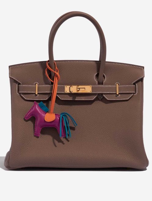 Pre-owned Hermès bag Rodeo PM Milo Lamb Tosca / Blue Izmir / Orange Multicolour, Violet Detail | Sell your designer bag on Saclab.com