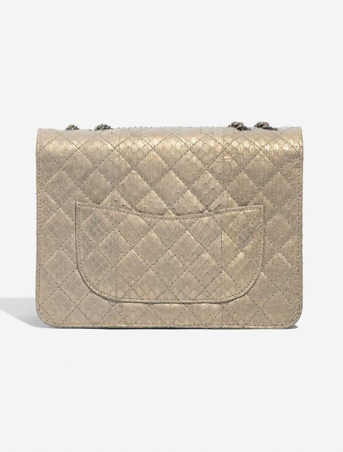 Pre-owned Chanel bag Timeless Medium Python Gold Gold Side Front | Sell your designer bag on Saclab.com