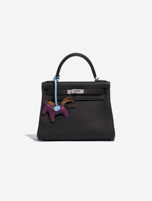 Pre-owned Hermès bag Rodeo PM Milo Anemone / Celeste / Gold Blue, Multicolour, Violet Detail | Sell your designer bag on Saclab.com
