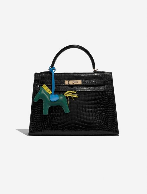 Pre-owned Hermès bag Rodeo MM Milo Vert / Blue Izmir / Jaune de Naples Green Detail | Sell your designer bag on Saclab.com