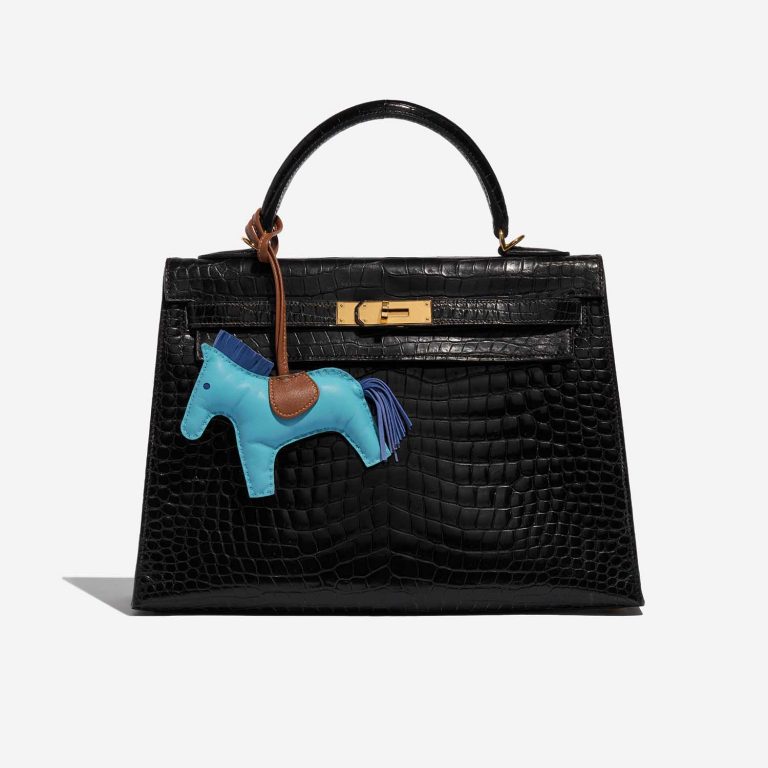 Pre-owned Hermès bag Rodeo MM Milo Paon / Alezan / Blue France Blue Detail | Sell your designer bag on Saclab.com