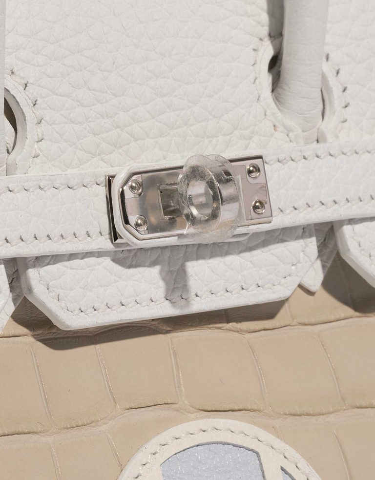 Pre-owned Hermès bag Birkin Faubourg 20 Snow Matte Alligator / Togo / Epsom / Swift White / Beton / Orange H / Blue Brume / Craie Beige Front | Sell your designer bag on Saclab.com