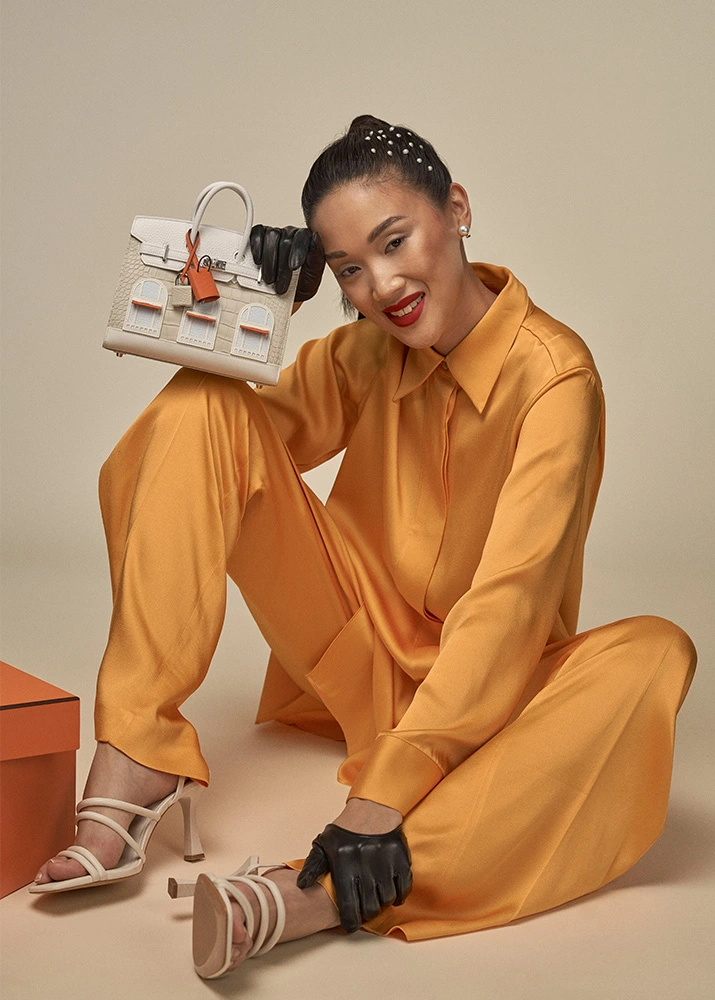 Hermès Birkin Snow Faubourg