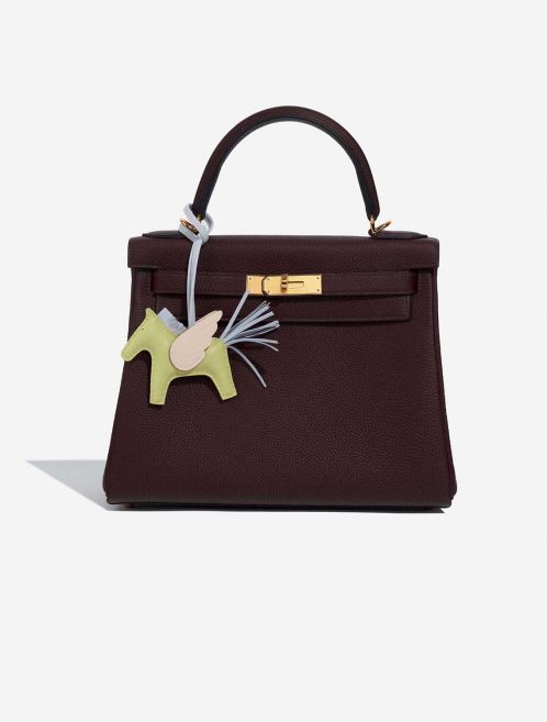 Hermès RodeoPegasusPM JauneBourgeon-BleuBrume-Nata Closing System  | Sell your designer bag on Saclab.com