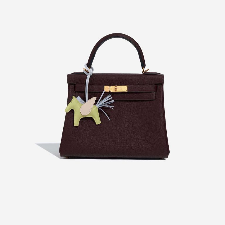Hermès RodeoPegasusPM JauneBourgeon-BleuBrume-Nata Closing System  | Sell your designer bag on Saclab.com