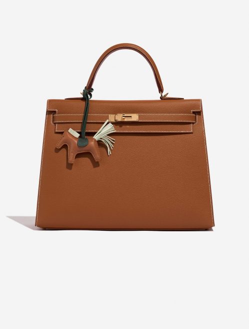 Hermès Rodeo PM Gold-VertCypress-VertAbsinthe Closing System  | Sell your designer bag on Saclab.com