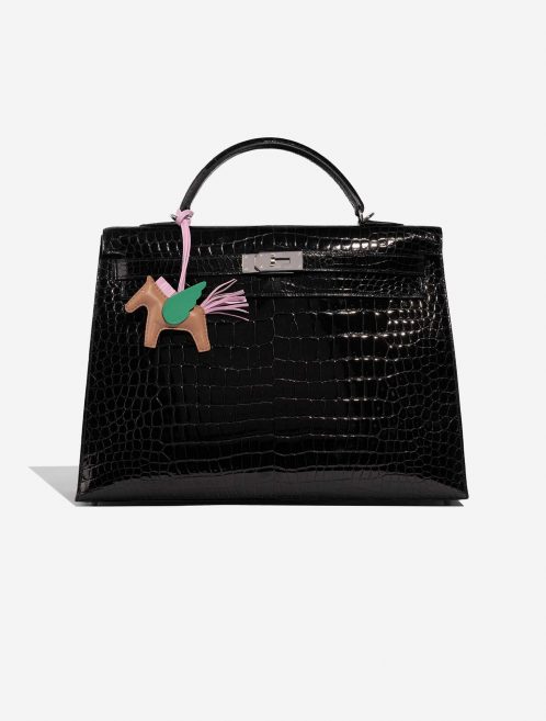 Hermès RodeoPegasus OneSize Chai-MauveSylvestre-Menthe Closing System  | Sell your designer bag on Saclab.com
